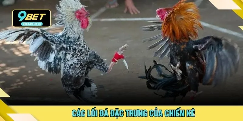 Các lối đá đặc trưng của chiến kê