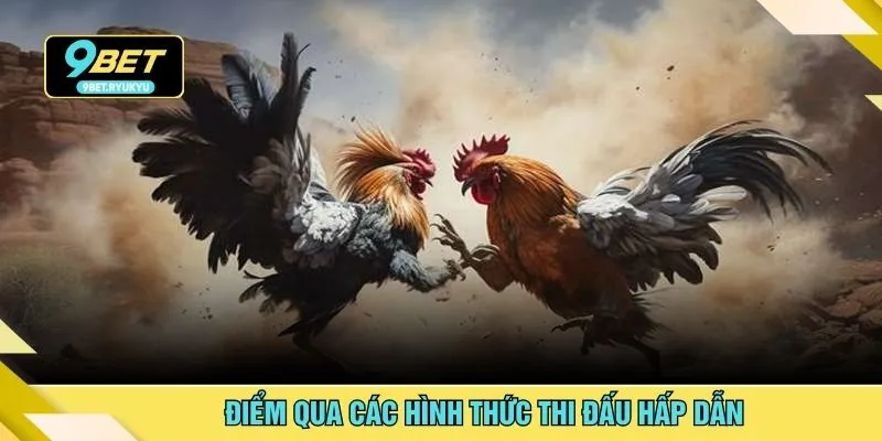 Điểm qua các hình thức thi đấu hấp dẫn