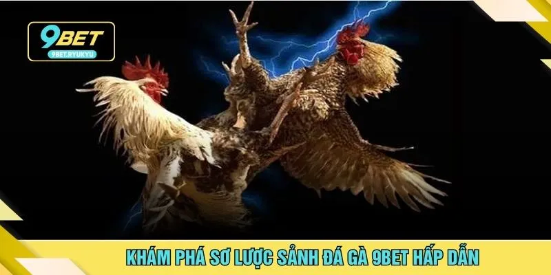 Khám phá sơ lược sảnh đá gà 9bet hấp dẫn