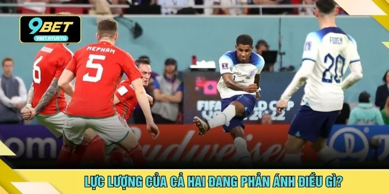 Lực lượng của cả hai đang phản ánh điều gì?