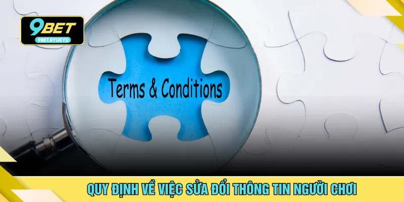 Quy định về việc sửa đổi thông tin người chơi