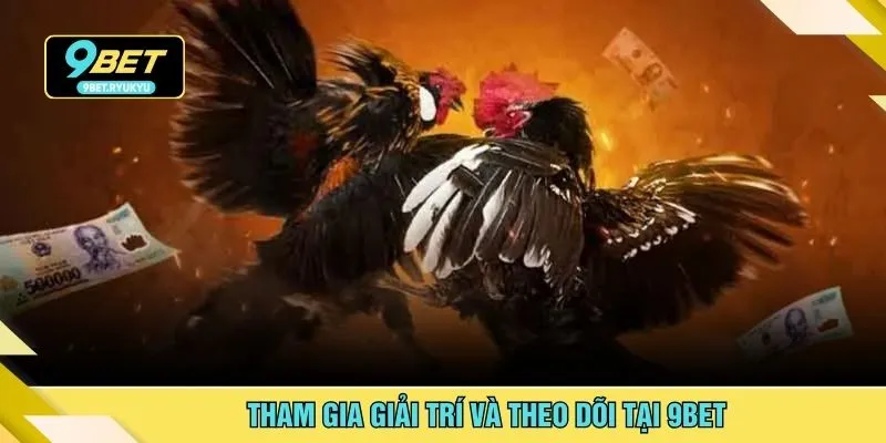 Tham gia giải trí và theo dõi tại 9bet