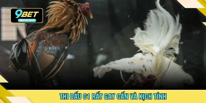 Thi đấu C1 rất gay cấn và kịch tính